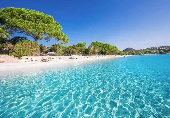 Roccapina - Porto-vecchio Villa