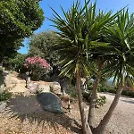 Villa Roccapina - Portovecchio *