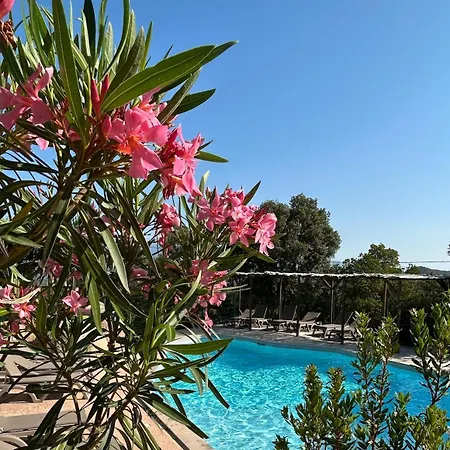 Roccapina - Porto-vecchio 소타