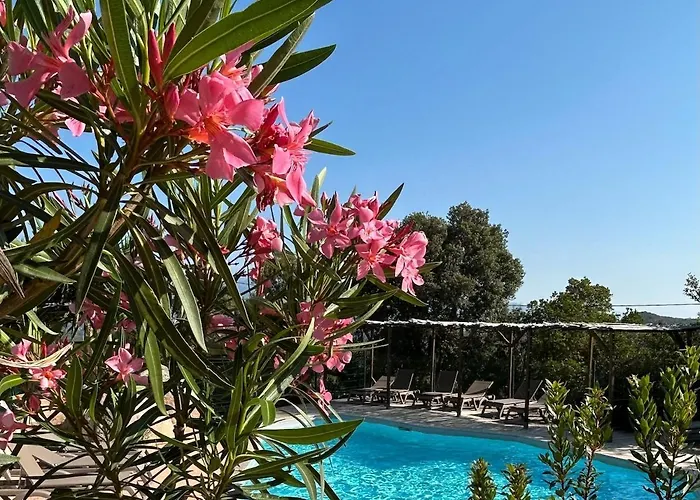 Roccapina - Porto-vecchio סוטה